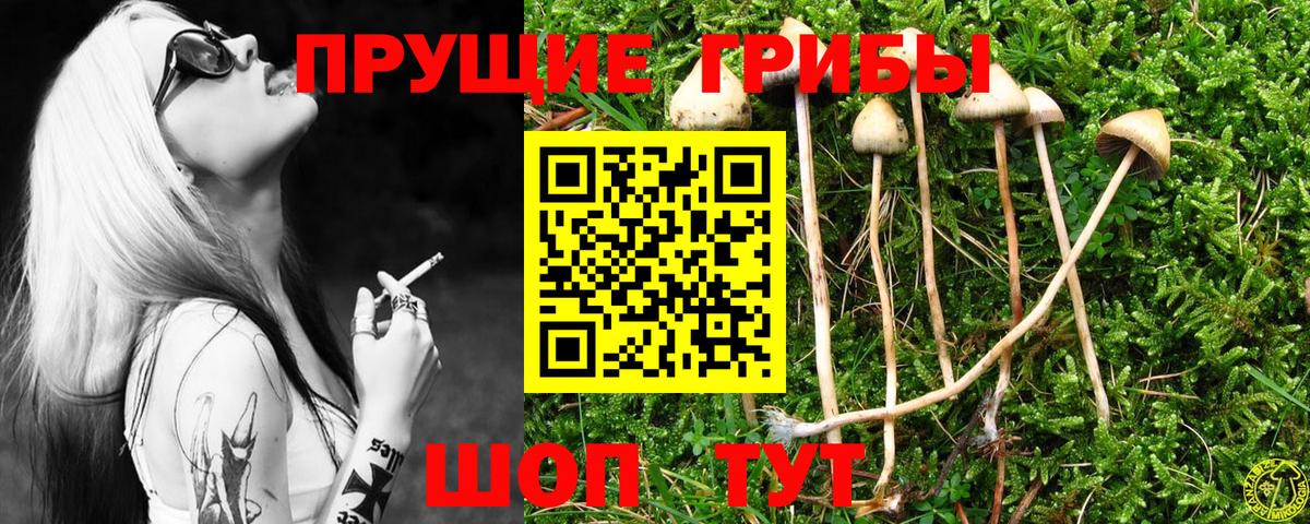 Псилоцибиновые грибы MAGIC MUSHROOMS Горячий Ключ